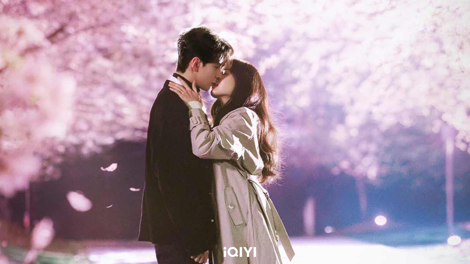 陳星旭 盧昱曉 櫻花吻戲 浪漫劇照